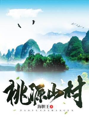 桃源山村TXT电子书