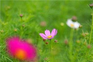 武林高手在异界女主