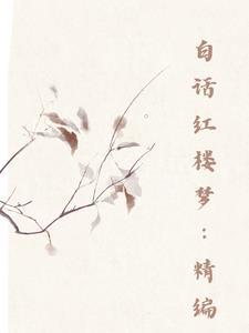 白话讲透红楼梦第2讲