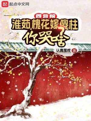 四合院淮茹槐花嫁傻柱你哭啥免费阅读