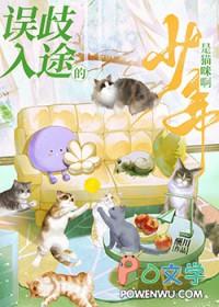 误入歧途的少年是猫咪啊番外篇