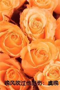 晚风是哪个cp
