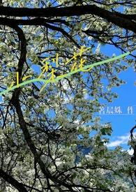 小梨花(校园)笔趣阁