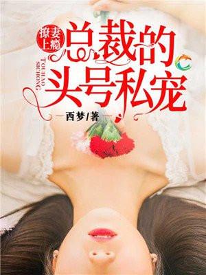 撩妻上瘾:总裁的头号私宠