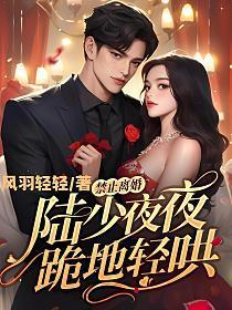 禁止离婚!陆少夜夜跪地轻哄