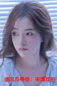 逐风月寻他:宋清欢的小说