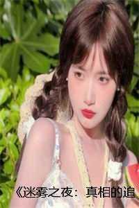 《迷雾之夜:真相的追寻》 篇