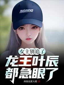 女主别追了,龙王叶辰都急眼了